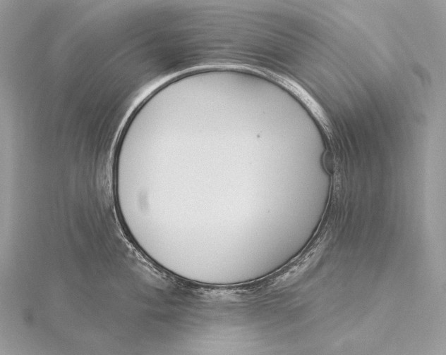 X0000115831004200912041644