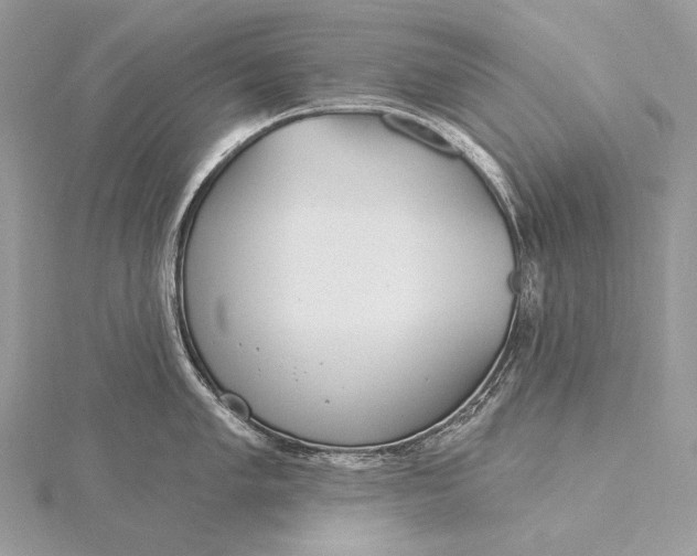 X0000115831005200912041644