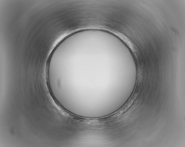 X0000115831006200912041644