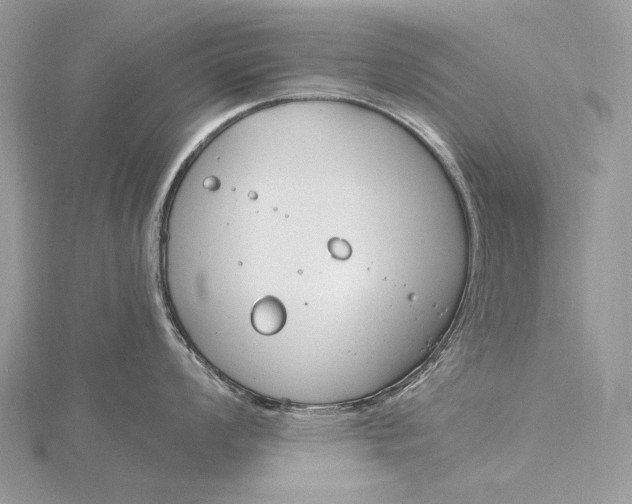 X0000115831008200912041644