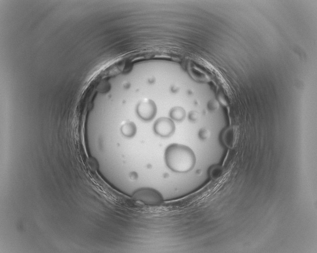 X0000115831019200912041643