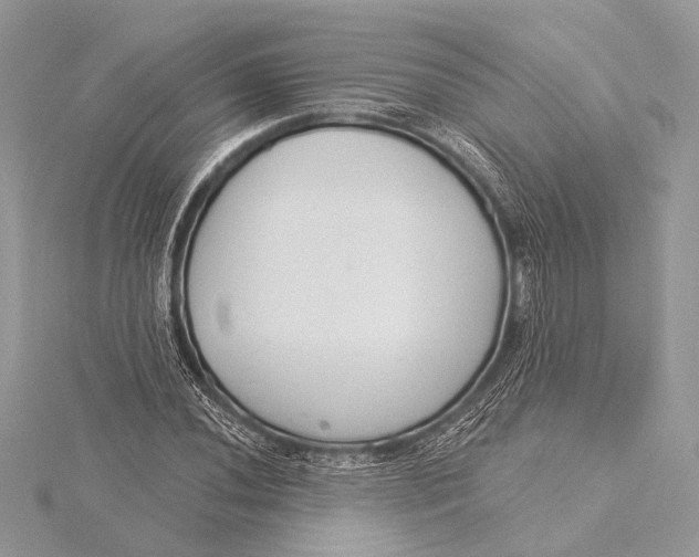 X0000115831020200912041643