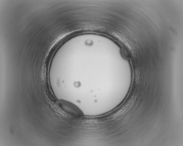 X0000115831021200912041643