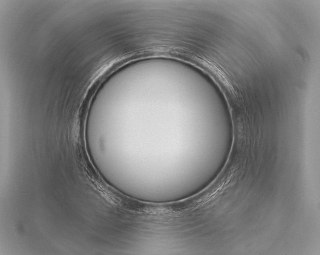 X0000115831023200912041643