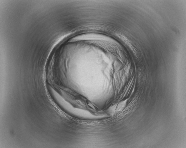 X0000115831024200912041643