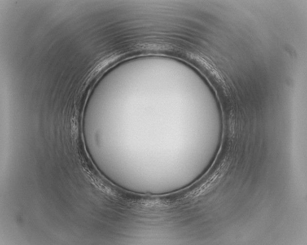 X0000115831025200912041643