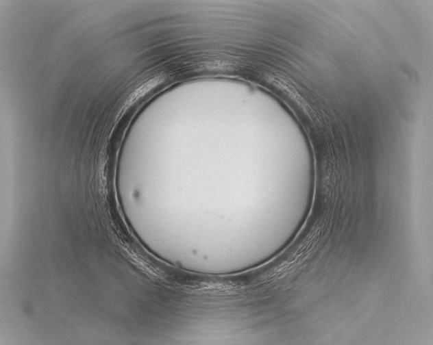 X0000115831026200912041643