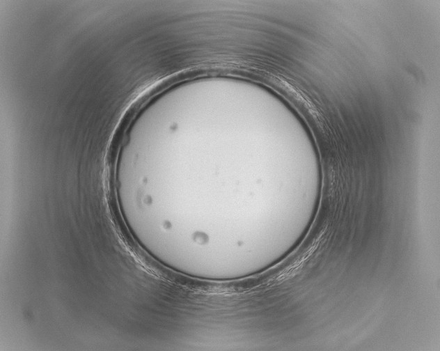 X0000115831029200912041643