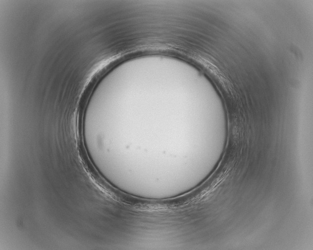 X0000115831030200912041643