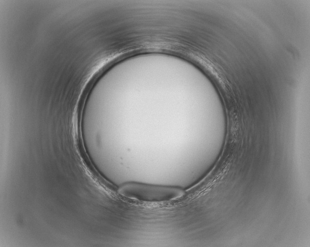 X0000115831032200912041643