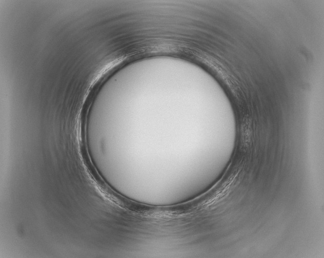 X0000115831034200912041643