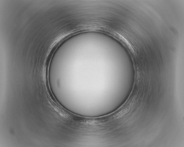 X0000115831035200912041644