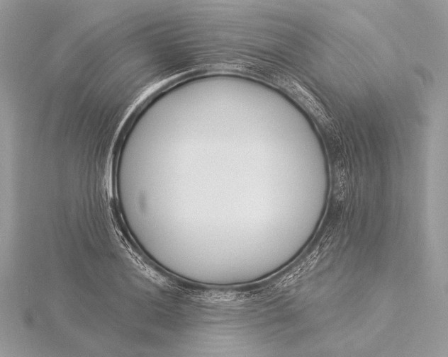 X0000115831036200912041644