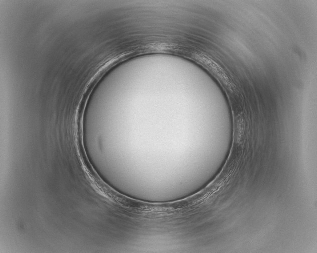 X0000115831039200912041644