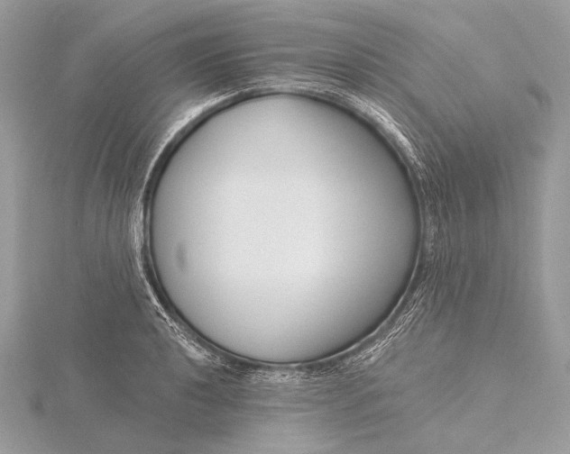 X0000115831040200912041644