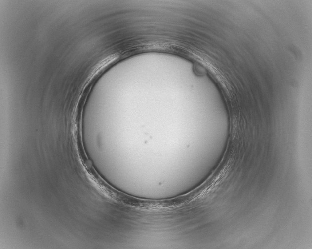 X0000115831042200912041644