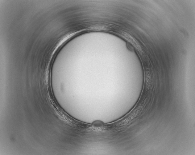 X0000115831044200912041644