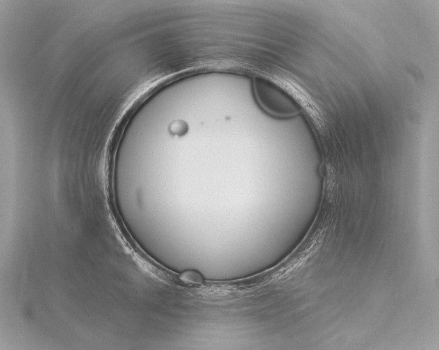 X0000115831046200912041644