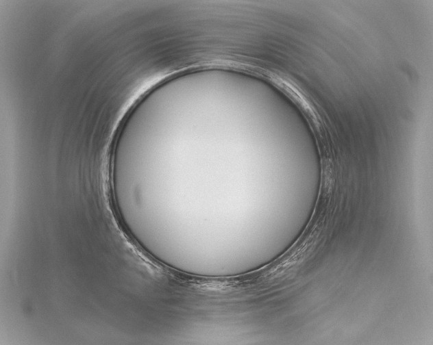 X0000115831048200912041644