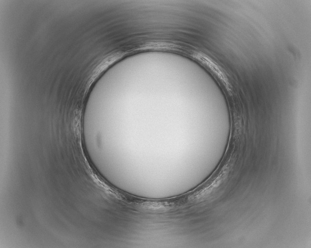 X0000115831049200912041644