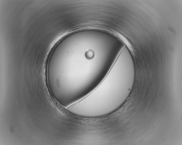 X0000115831051200912041644