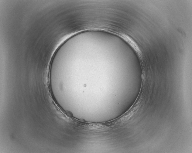 X0000115831052200912041644