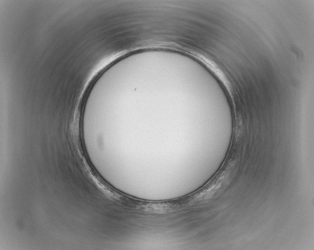 X0000115831053200912041644