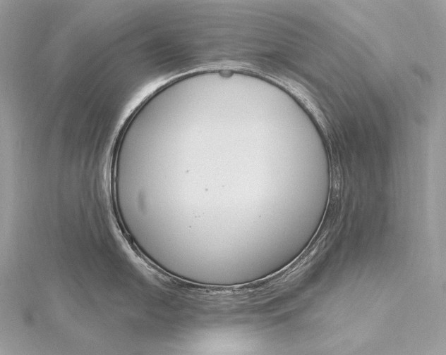 X0000115831054200912041644