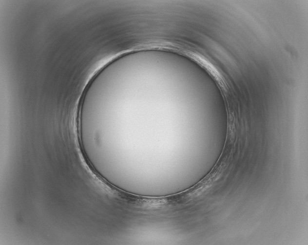 X0000115831055200912041644