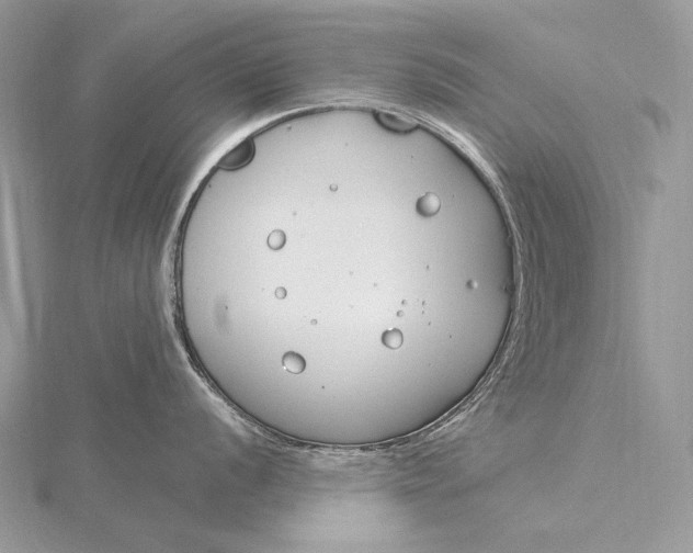 X0000115831056200912041644