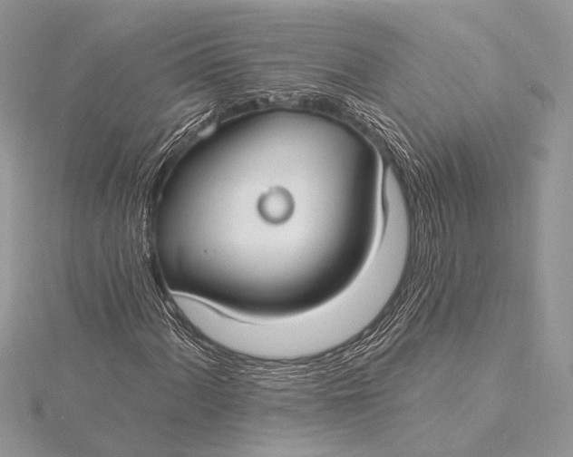 X0000115831060200912041643