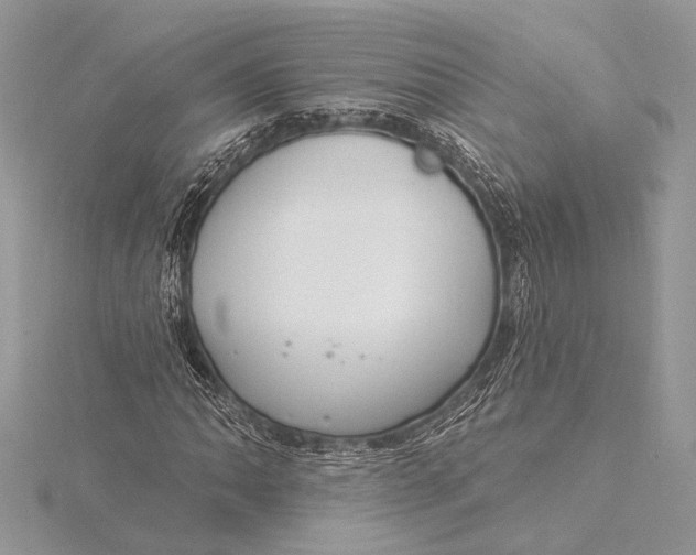 X0000115831062200912041643