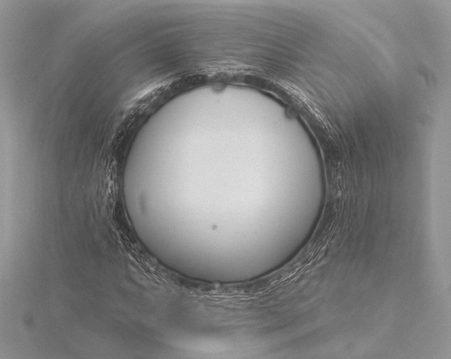 X0000115831063200912041643