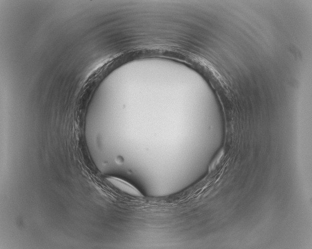 X0000115831064200912041643