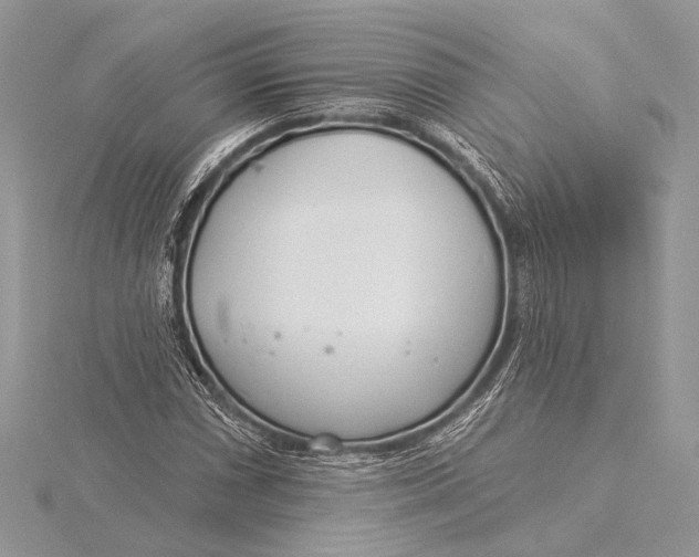 X0000115831066200912041643