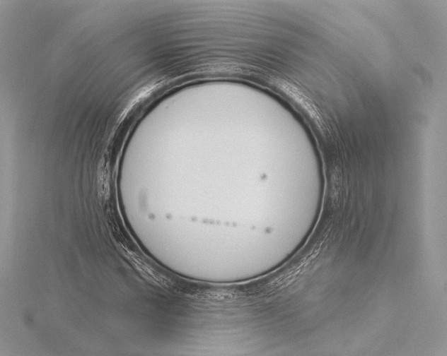 X0000115831067200912041643