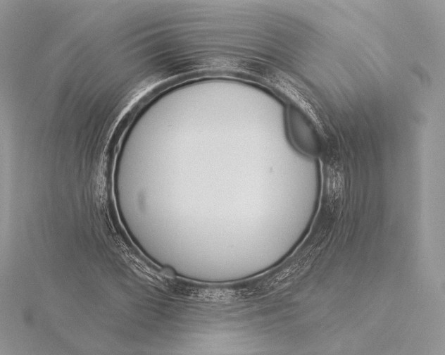 X0000115831068200912041643