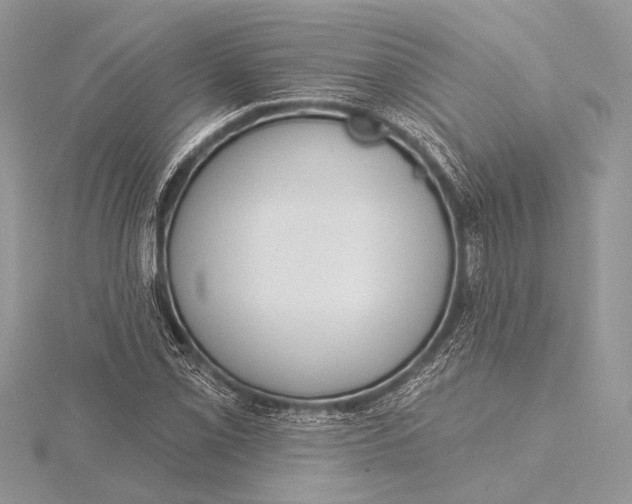 X0000115831069200912041643