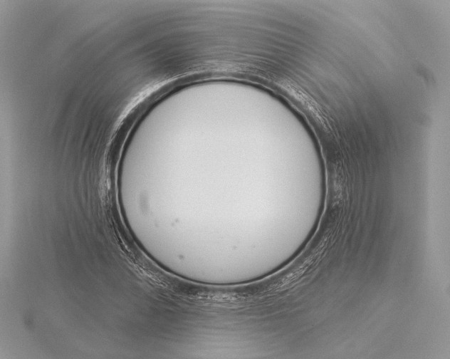 X0000115831070200912041643