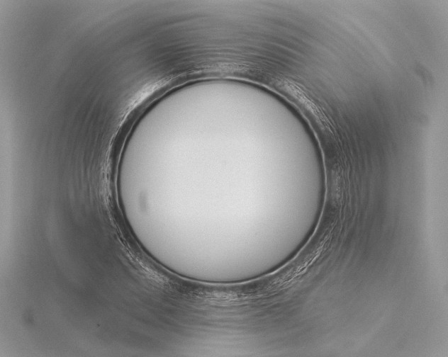 X0000115831071200912041643