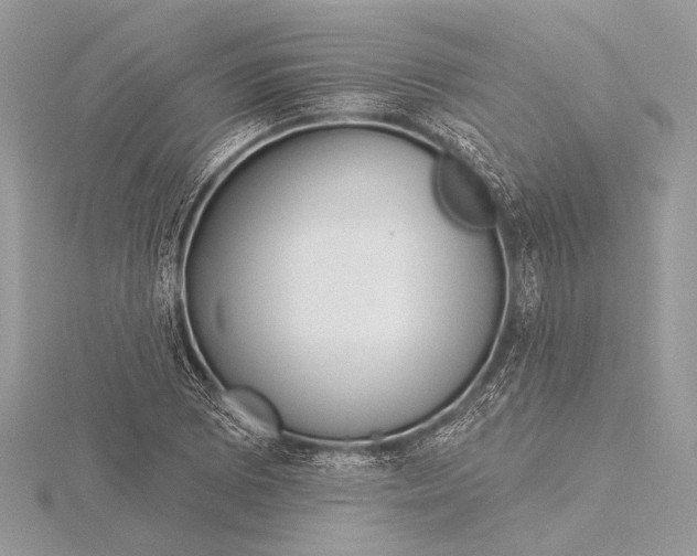 X0000115831073200912041643