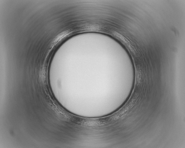 X0000115831074200912041643