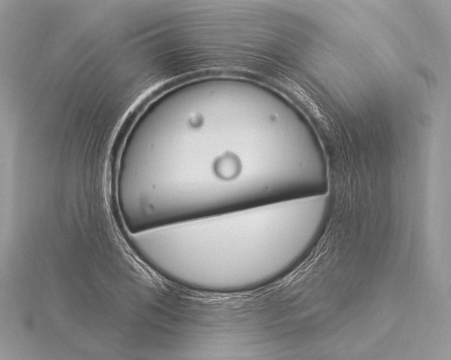 X0000115831076200912041643