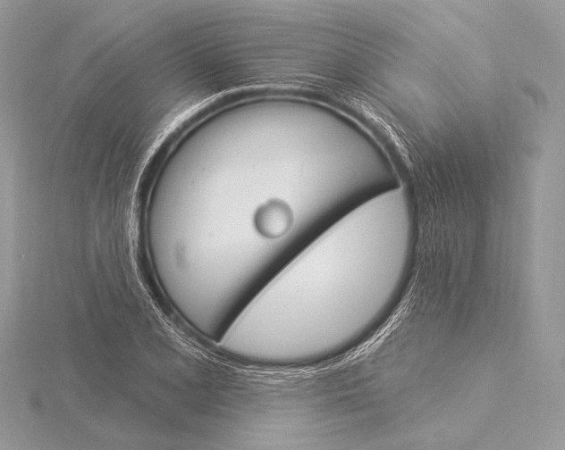 X0000115831077200912041643