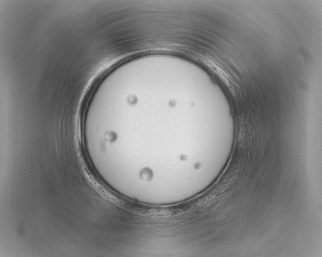 X0000115831080200912041643