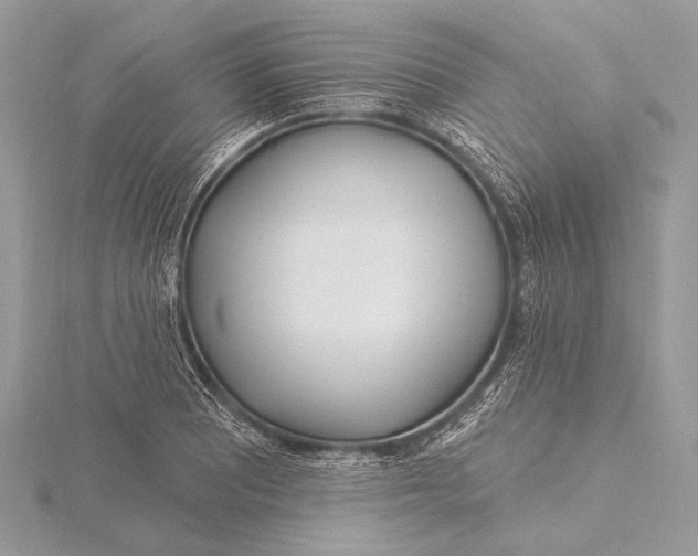 X0000115831081200912041643