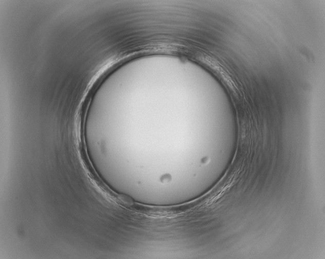 X0000115831083200912041643