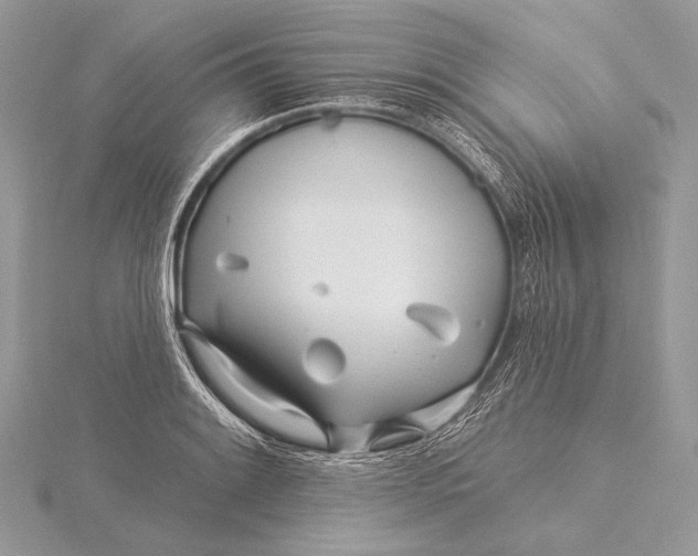 X0000115831084200912041643