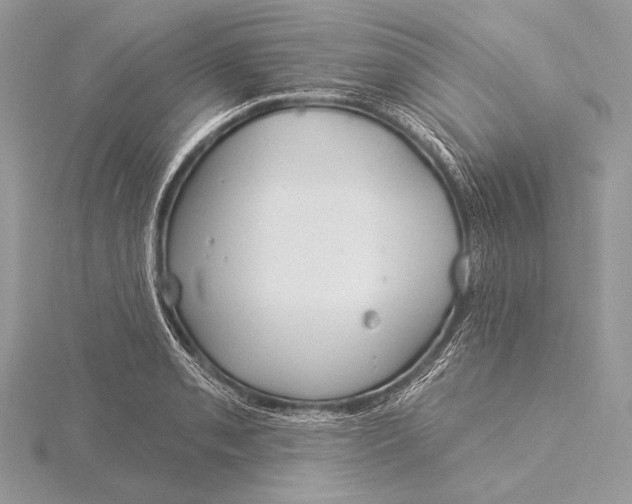 X0000115831085200912041643