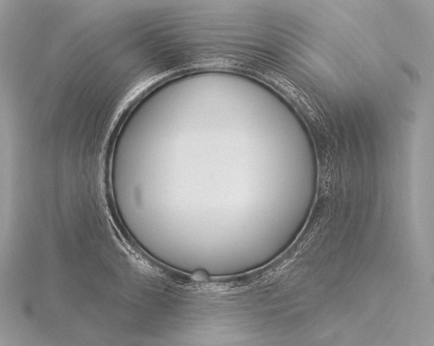 X0000115831086200912041643